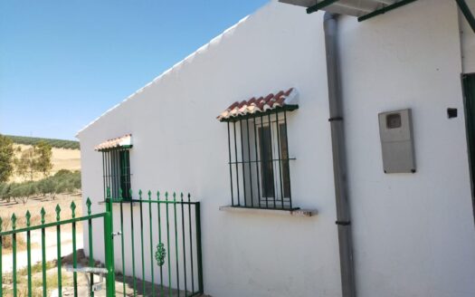 Parcela en Paraje Gandía