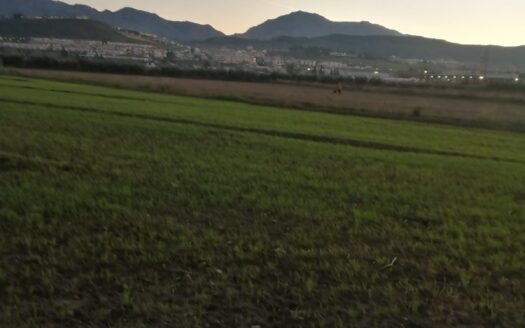 Naves en Antequera