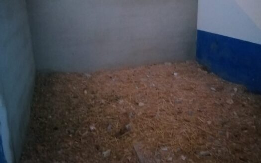 Naves en Antequera