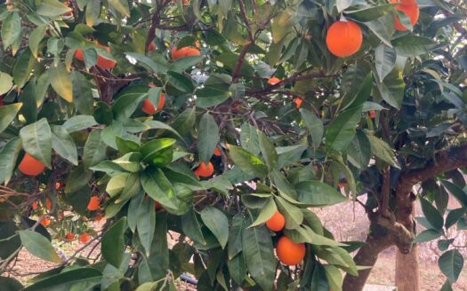 Bonita casa para alquilar en Casabermeja