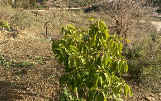 Bonita casa para alquilar en Casabermeja