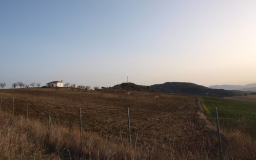 Finca con casa en valle de Abdalajis