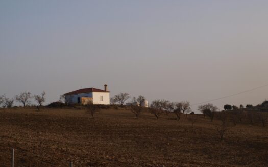Finca con casa en valle de Abdalajis