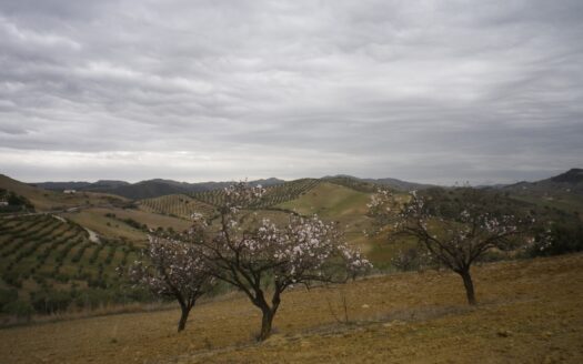 Finca con casa en valle de Abdalajis
