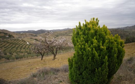 Finca con casa en valle de Abdalajis