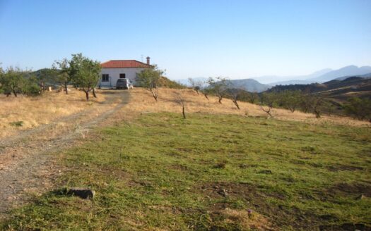 Finca con casa en valle de Abdalajis