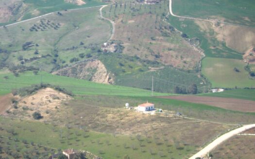 Finca con casa en valle de Abdalajis