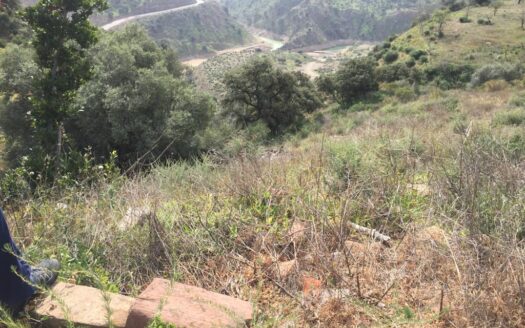 Finca en carretera de Almogía (Málaga)
