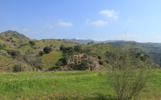 Finca en carretera de Almogía (Málaga)