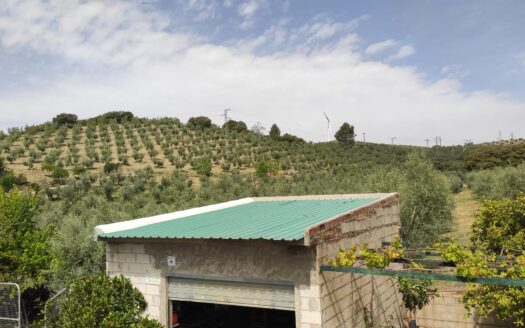 Finca rústica con vivienda en la Estación de Archidona