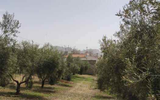 Finca rústica con vivienda en la Estación de Archidona